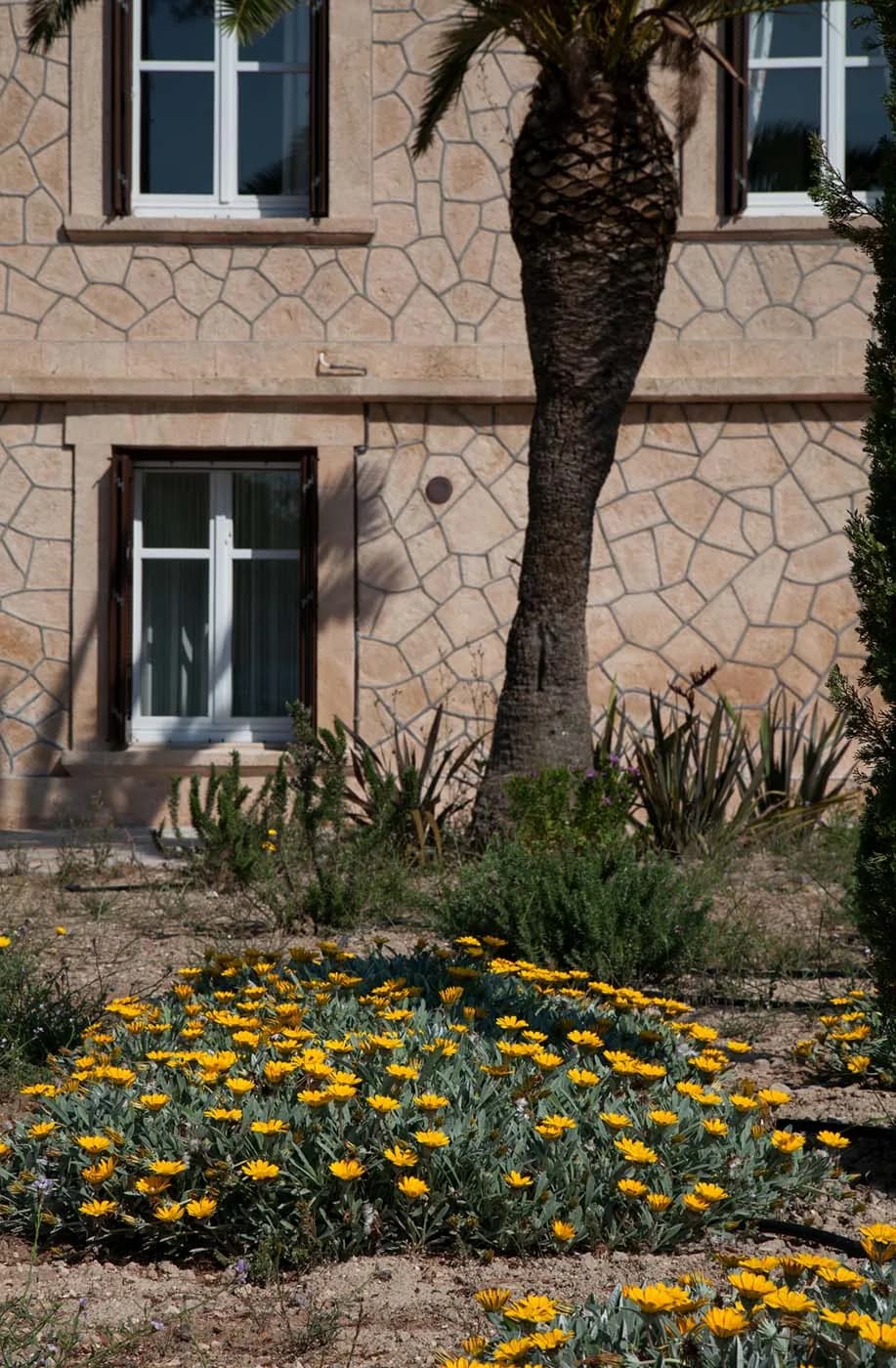 Wellness Retreats