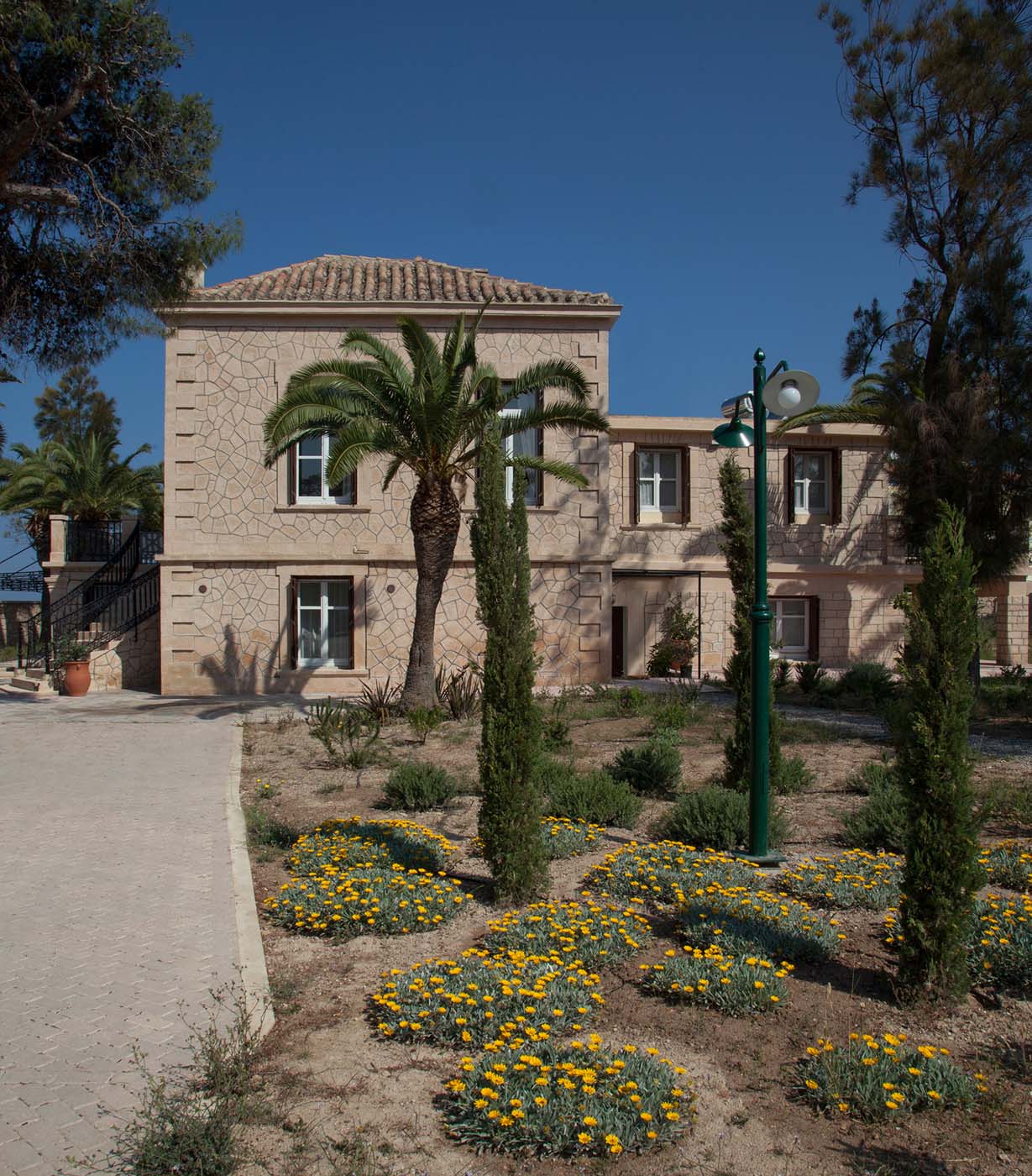 Garden with pistachio trees