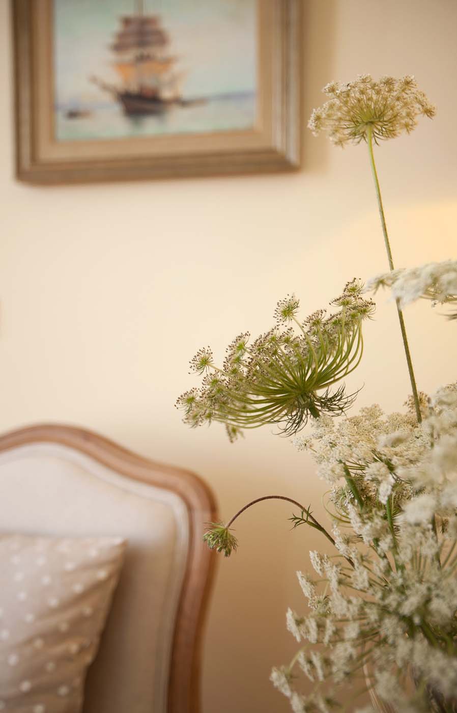 Living room — Lounging area